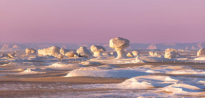 The White Desert